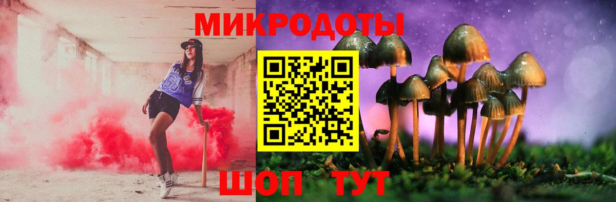 Вязники  цены   Вход с VPN  Псилоцибиновые грибы Psilocybe 