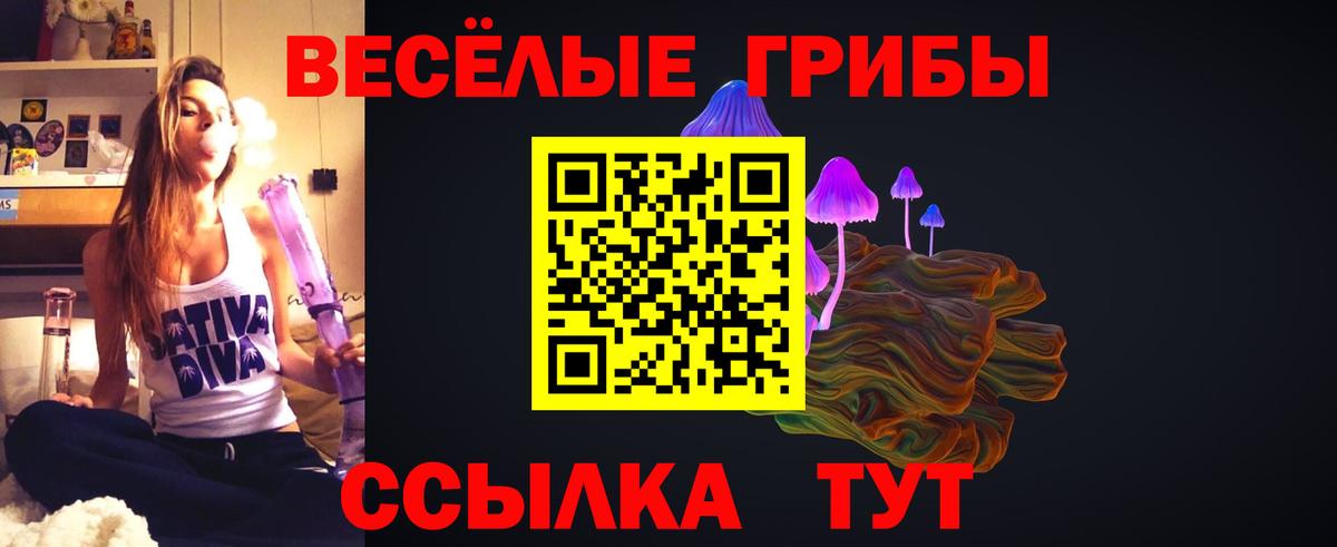 Псилоцибиновые грибы Psilocybe Вязники